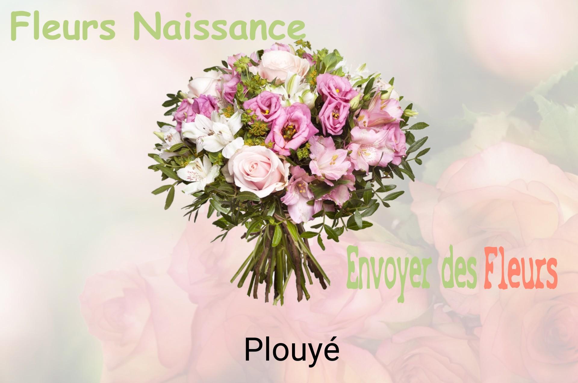 Bouquet de fleurs de naissance livré à Plouyé